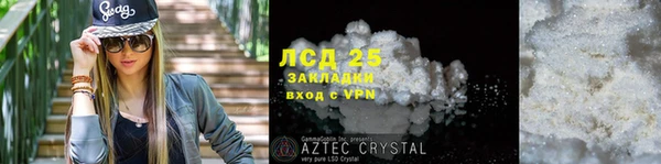 крисы Лагань