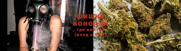 крисы Лагань