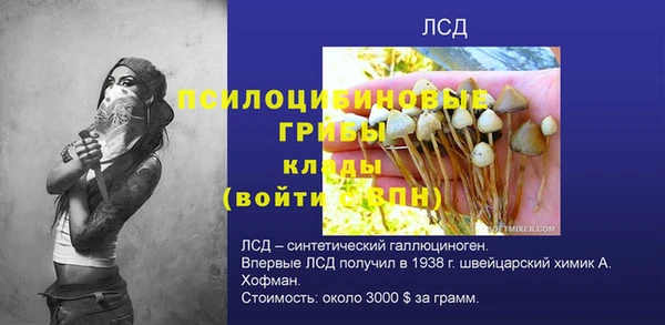 крисы Лагань